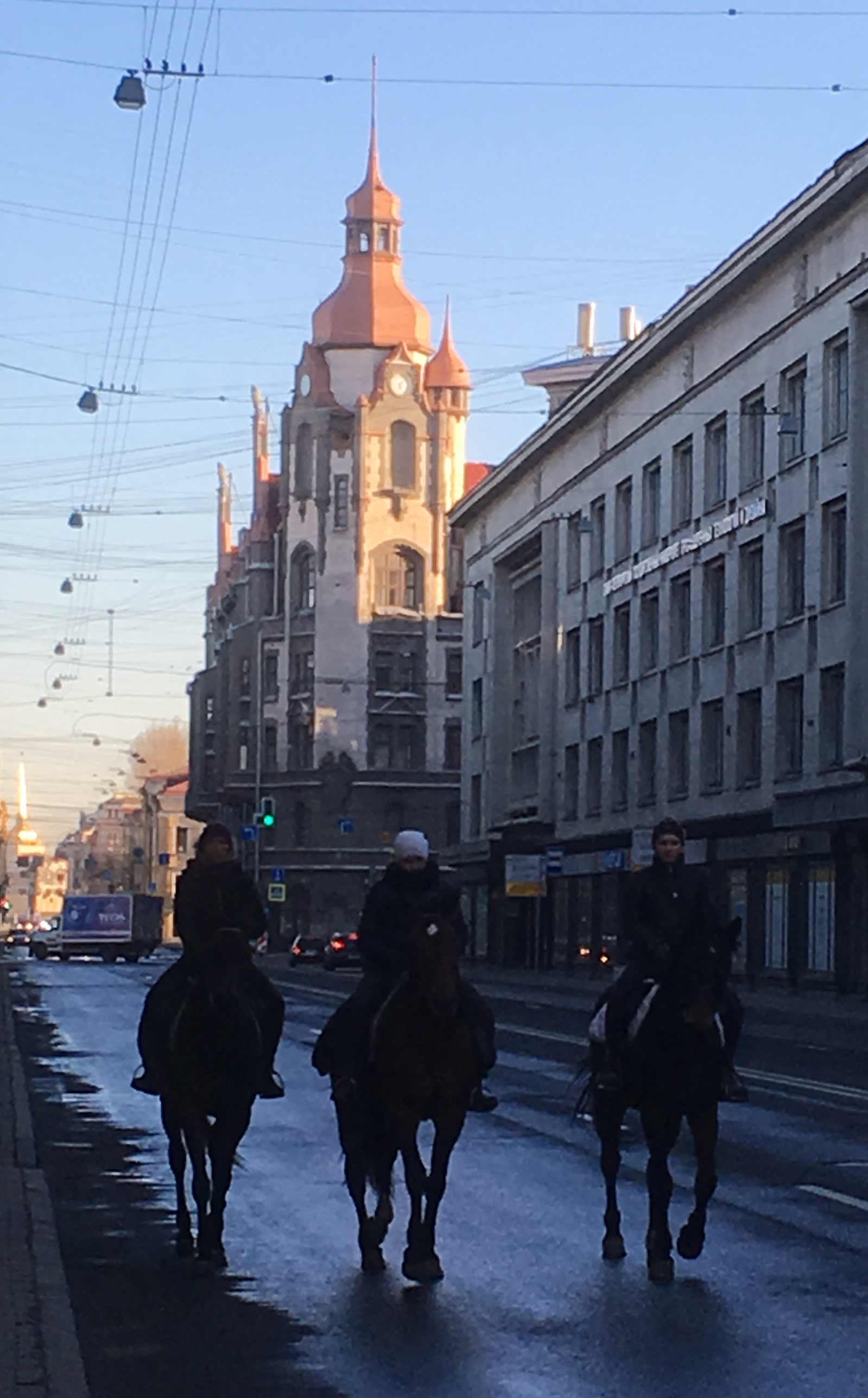 Peter - My, Voznesensky, Horses, Saint Petersburg