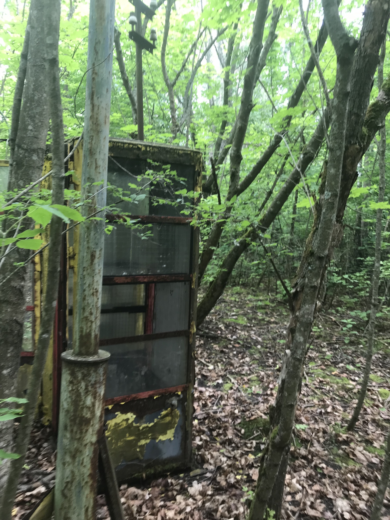 Nature takes its own (Chernobyl) - My, Chernobyl, Longpost, Hike, Nature, The photo