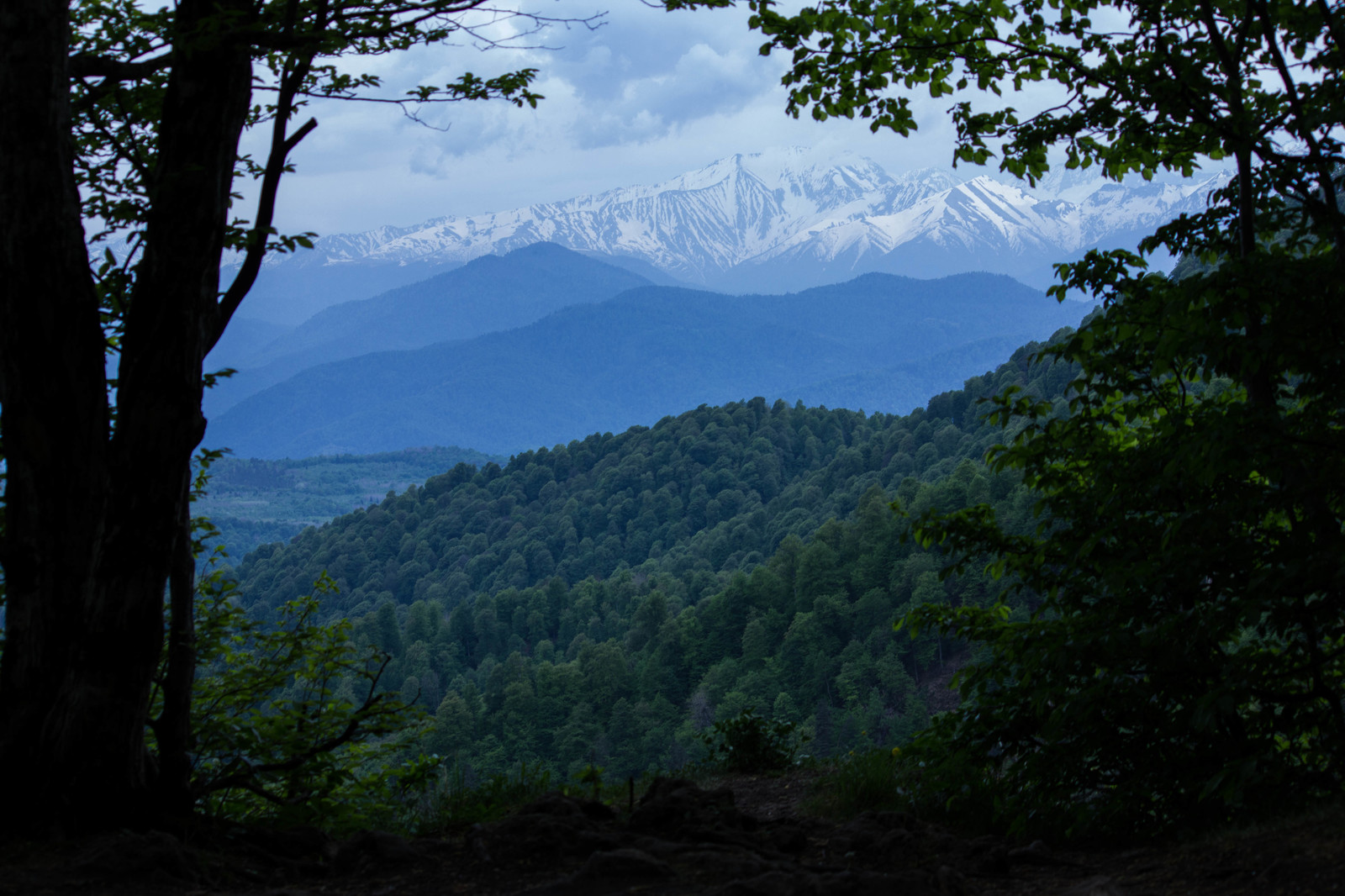 Mountain Sound - Моё, Горы, Республика Адыгея, Плато Лаго-Наки, Весна, Длиннопост