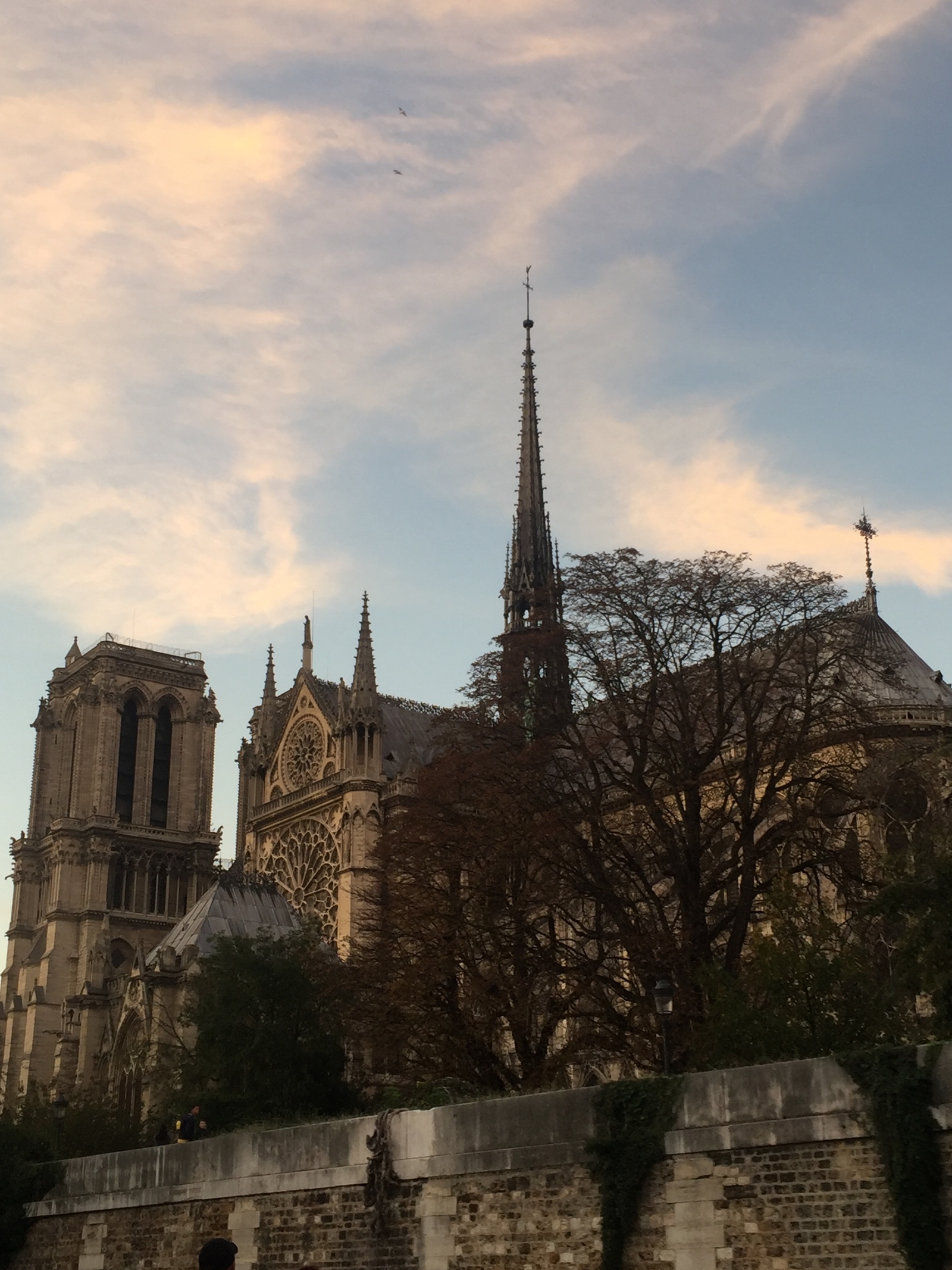 My emigrant life in France: not only Notre Dame... - My, A life, Living abroad, Longpost, Text, France