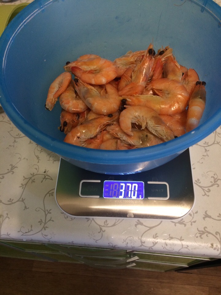 Bought a scale - My, Preparation, Shrimps, Longpost