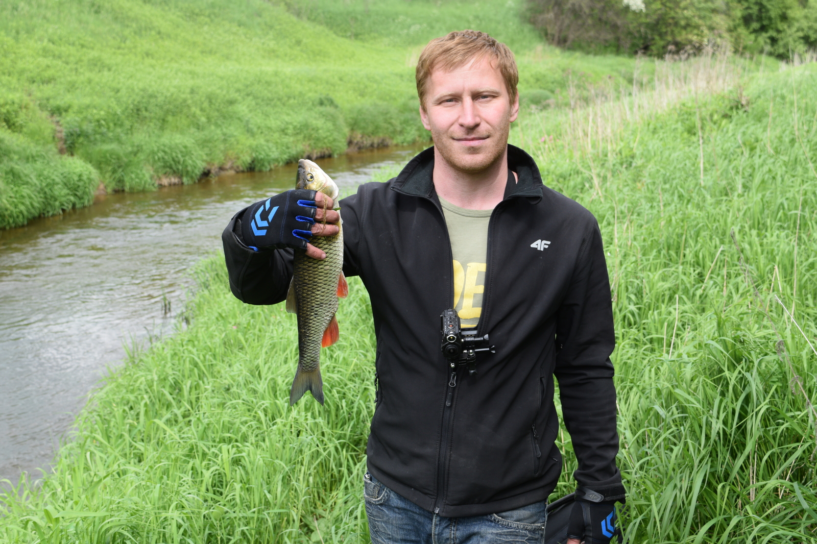 And why are there so many fish in this microriver? - My, Fishing, Chub, River, Kaliningrad, Video, The photo, Longpost