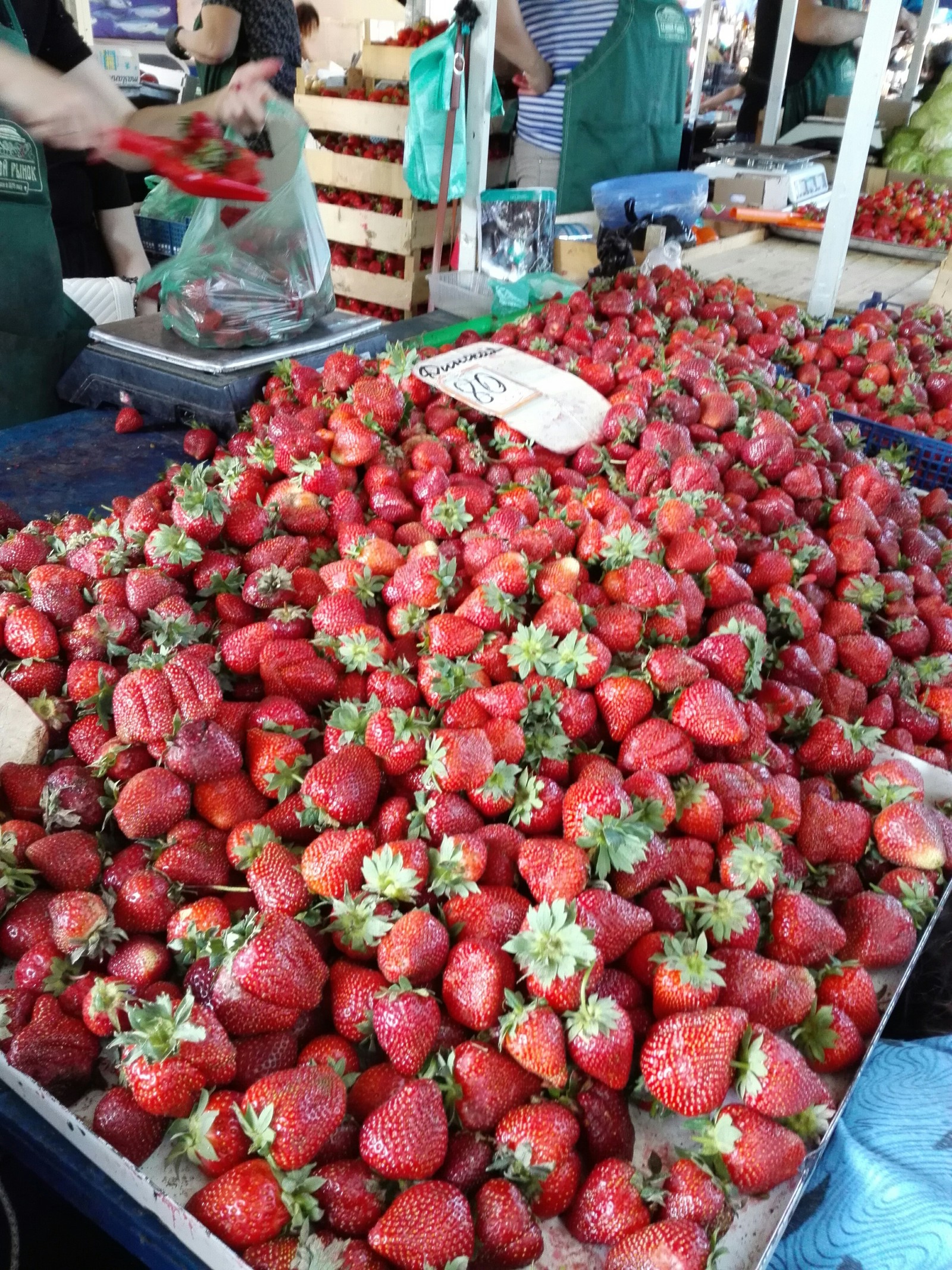 The strawberry tag is a must! - My, Krasnodar, Strawberry, Market, Longpost, Strawberry (plant)