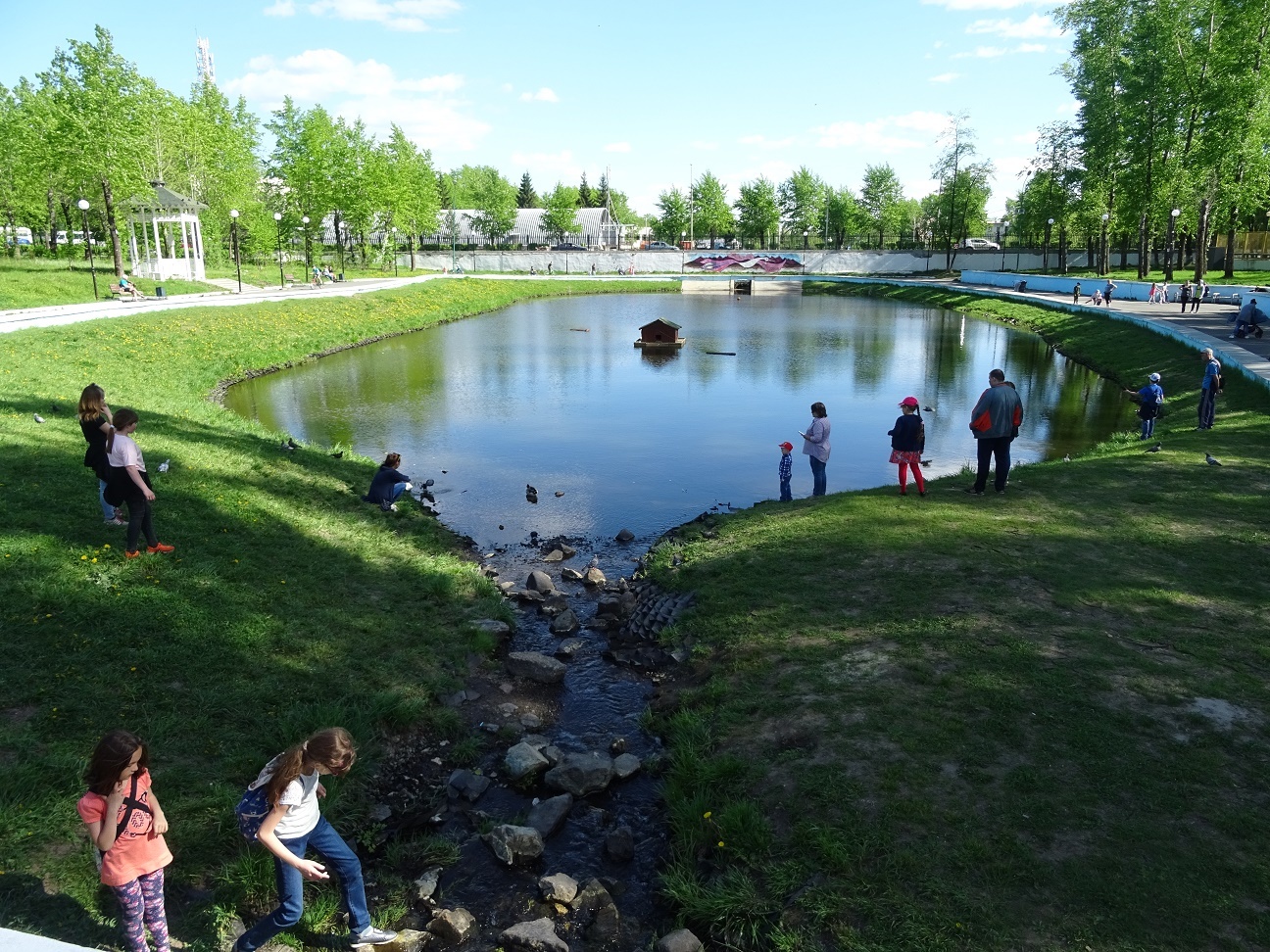 The townsman revived the pond - My, The park, Town, Pond, Duck, Longpost