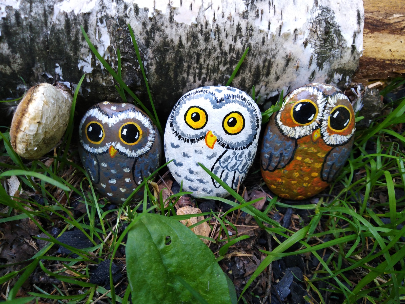 The Big Owl family is looking for a home! - My, Owl, Is free, Freebie, For free, Handmade, Creation