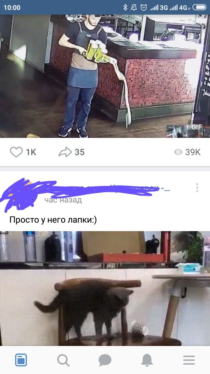 An interesting coincidence)) - cat, Paws, In contact with, GIF, Longpost