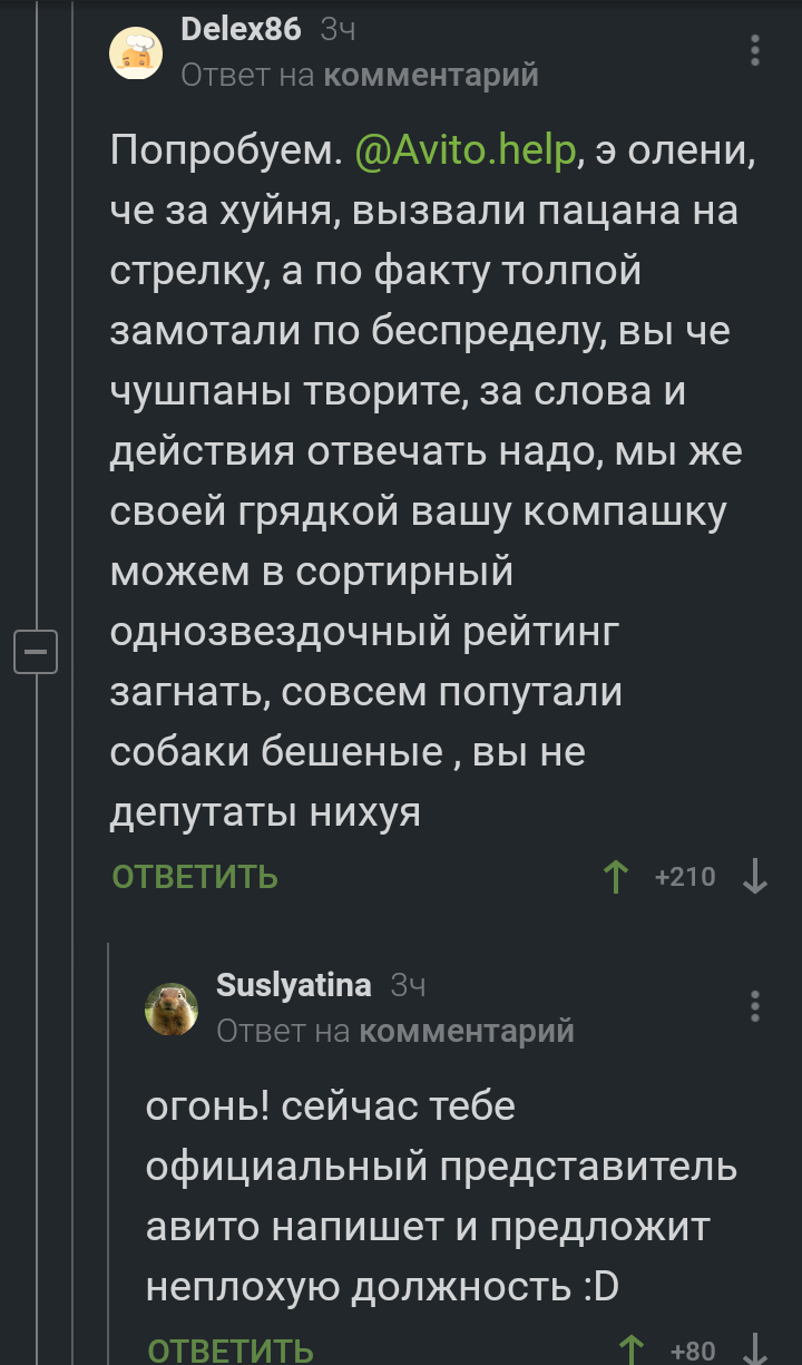 Интелегентный семейный человек быдланов на ящик семечек разводит - Комментарии на Пикабу, Авито, Комментарии, Длиннопост