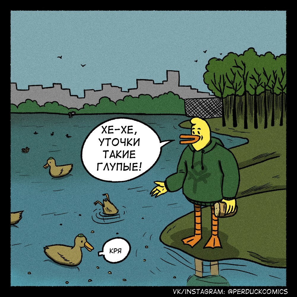 Ducks - My, Duck, Web comic, Pond, The park, Bread