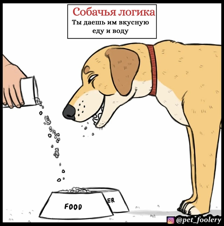 Dog logic - Pet foolery, Dog, Comics, Longpost