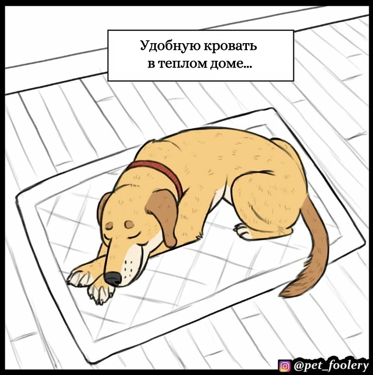 Dog logic - Pet foolery, Dog, Comics, Longpost