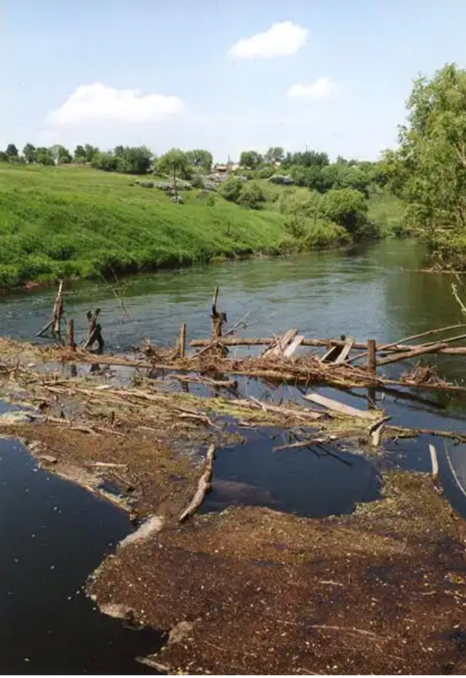 nettle and nettle - My, , Travel across Russia, Nettle, River, The festival, Walk, Beautiful, Longpost