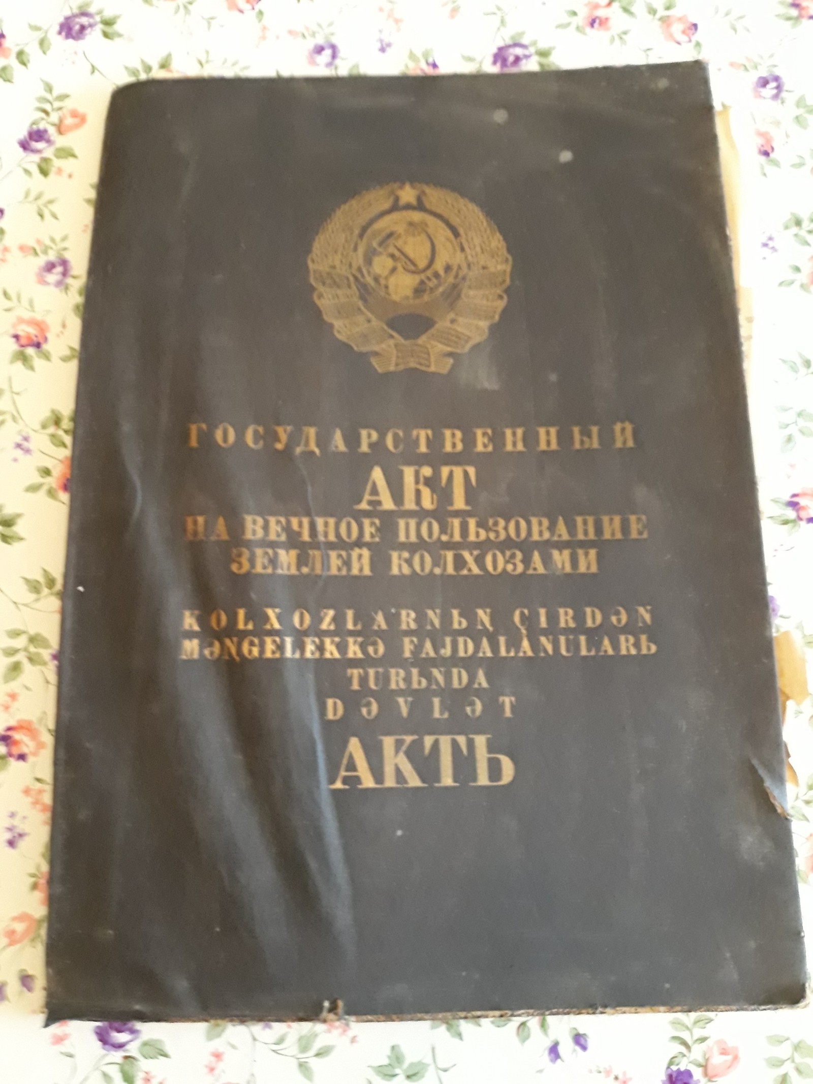 Интересно, имеет ли данный документ юридическую силу? - Акт, Асср, Татарстан, Право пользования, Лига юристов, Длиннопост