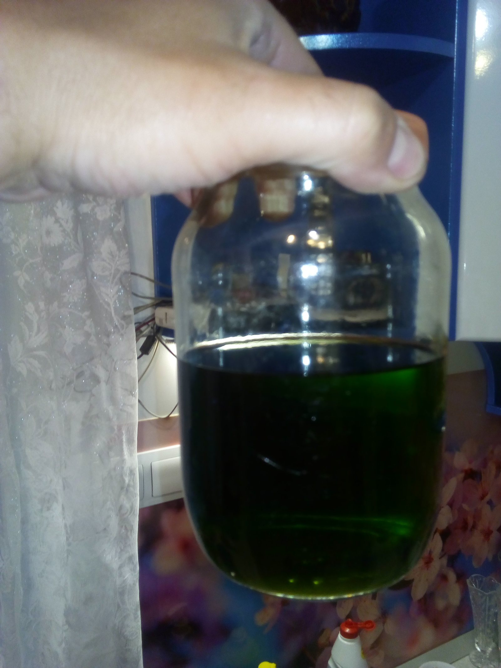 Absinthe and Becherovka for the lazy. - My, Absinthe, Becherovka, Home brewing, Hobby, Needlework with process, Longpost