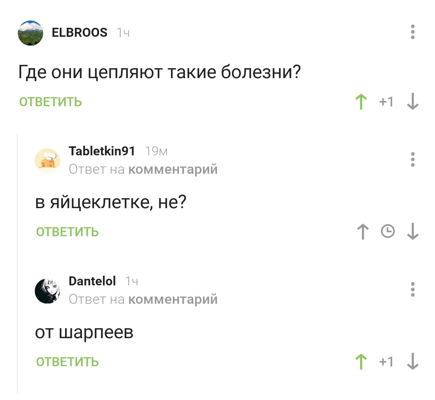 Шаркот | Пикабу