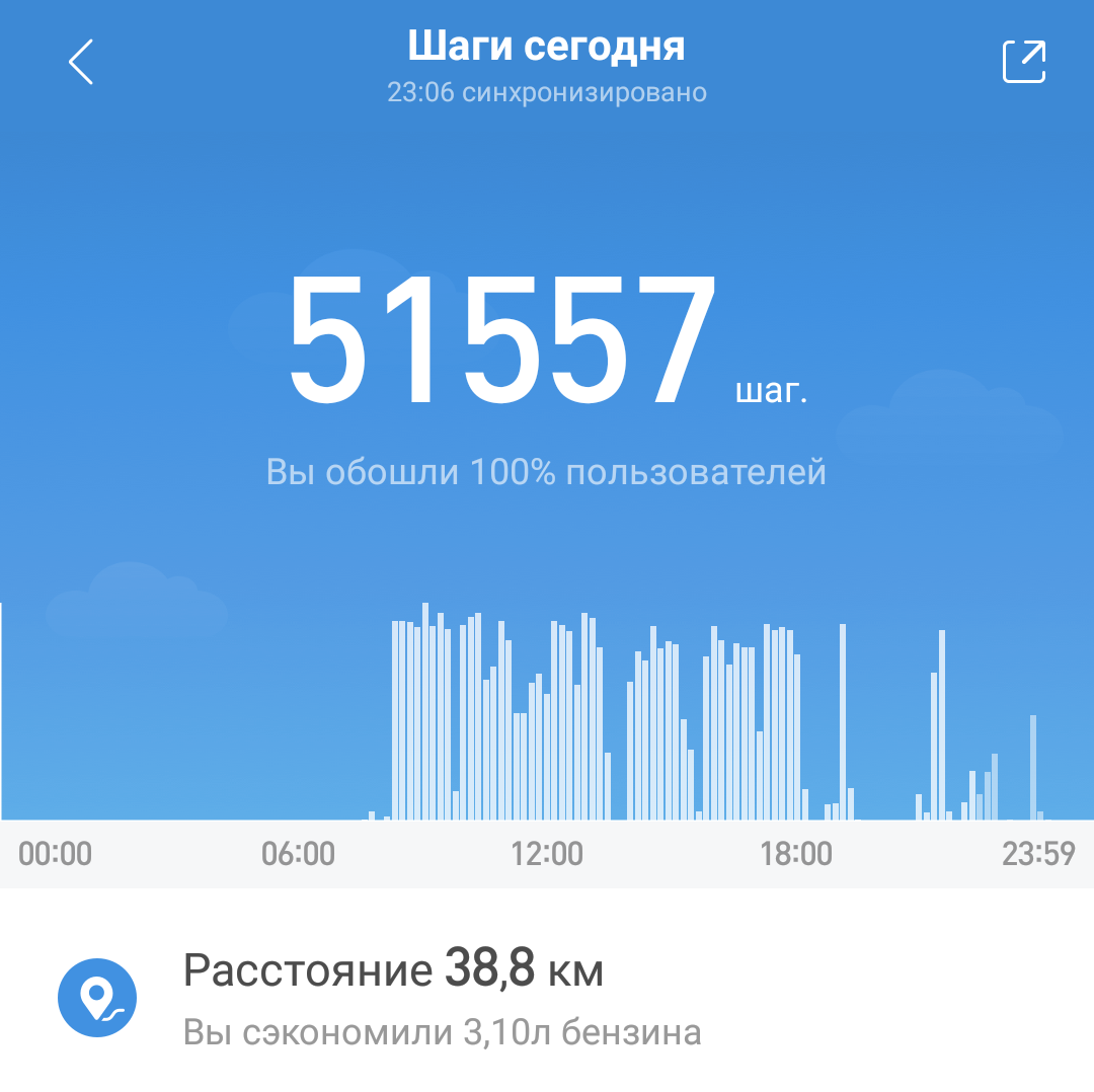 From Parnassus to Kupchino, on foot. - Longpost, Saint Petersburg, City walk, My