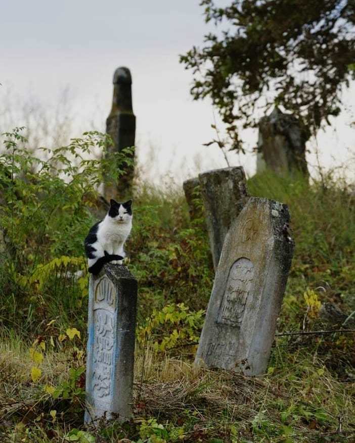 Тем временем в горах.. - Чечня, Природа, Горы, Длиннопост