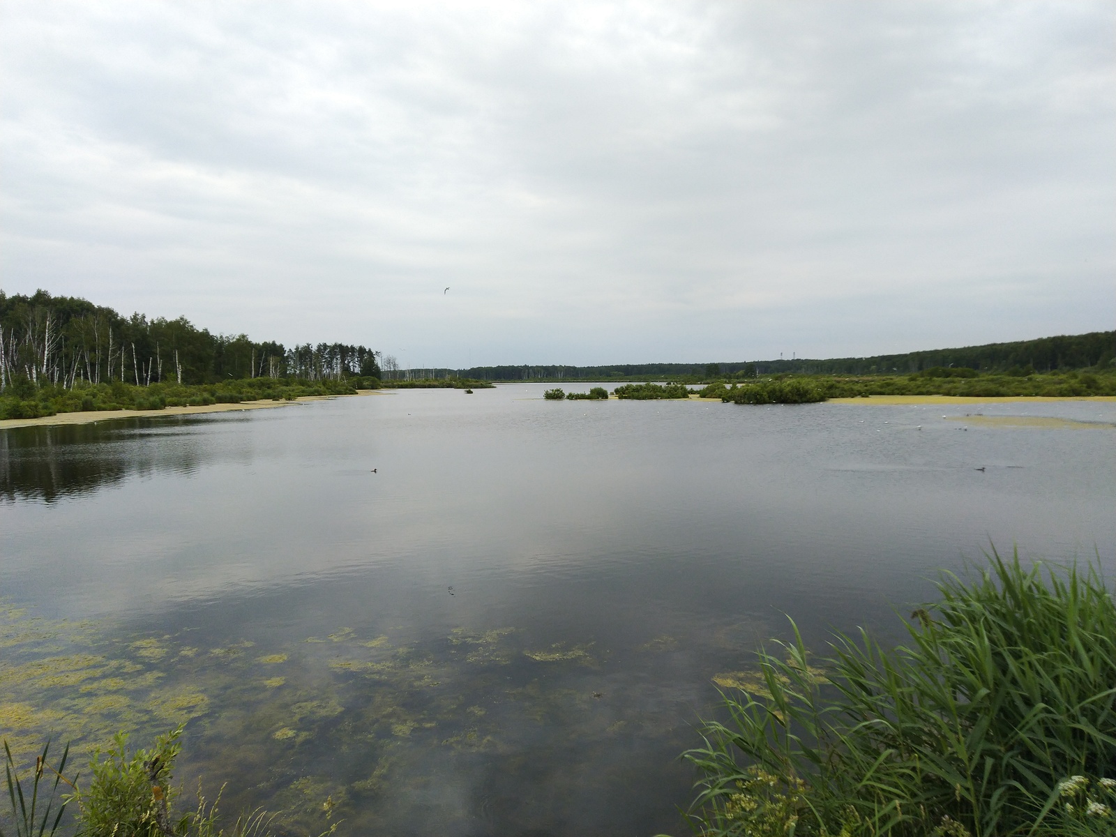 Bicycle route from Sokolniki to Korolev - My, Elk Island, Bike ride, Video, Longpost