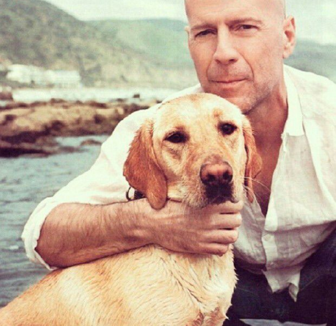 Celebrities with their pets. - Celebrities, Pet, The photo, Politicians, Pets, Longpost, Dog, cat, 