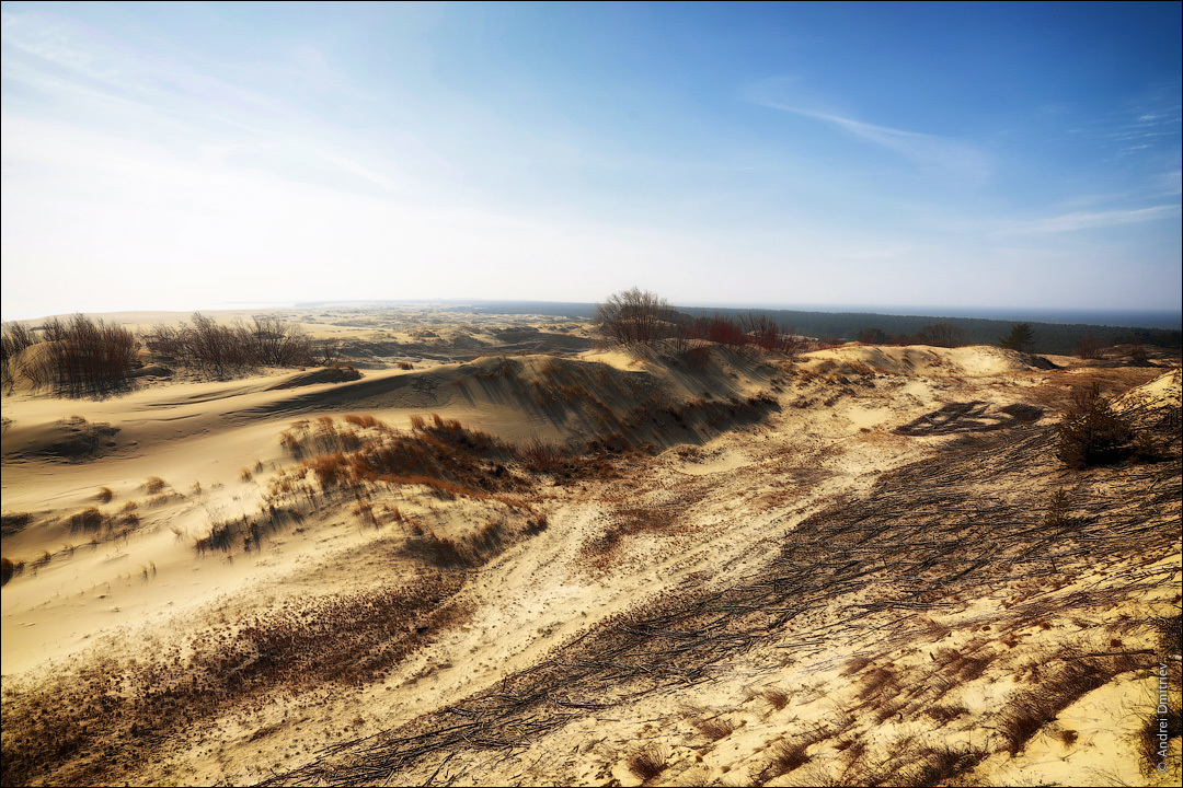 Photo walk: Curonian Spit, Russia - My, Photobritish, Travels, Russia, Curonian Spit, The photo, Desert, Longpost