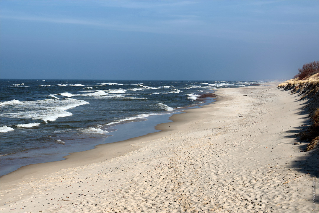 Photo walk: Curonian Spit, Russia - My, Photobritish, Travels, Russia, Curonian Spit, The photo, Desert, Longpost