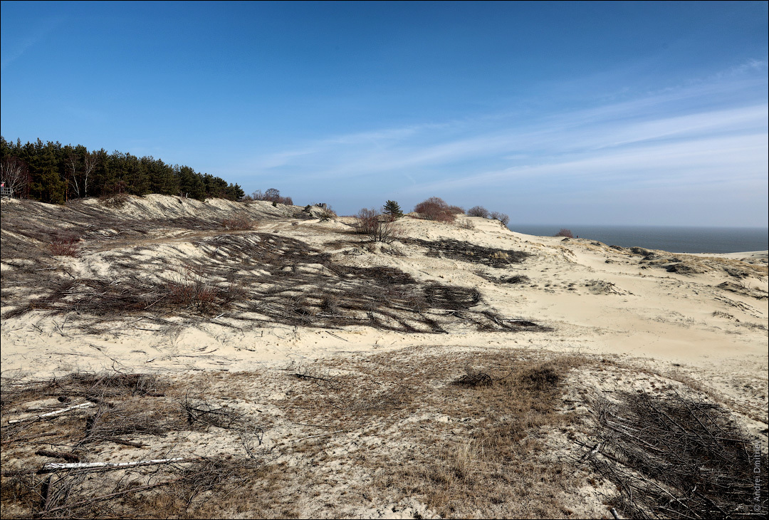 Photo walk: Curonian Spit, Russia - My, Photobritish, Travels, Russia, Curonian Spit, The photo, Desert, Longpost