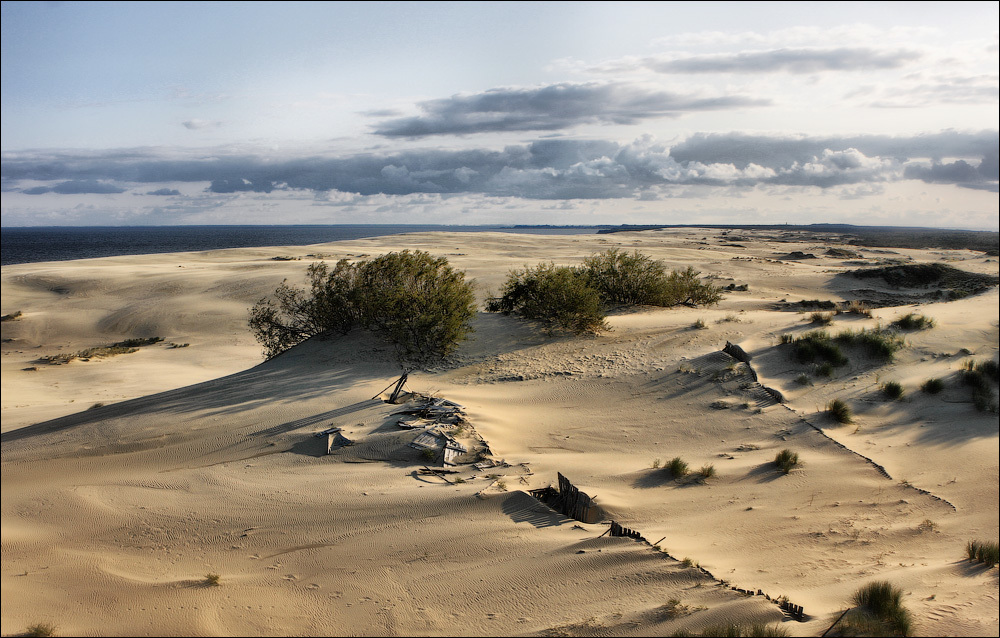 Photo walk: Curonian Spit, Russia - My, Photobritish, Travels, Russia, Curonian Spit, The photo, Desert, Longpost