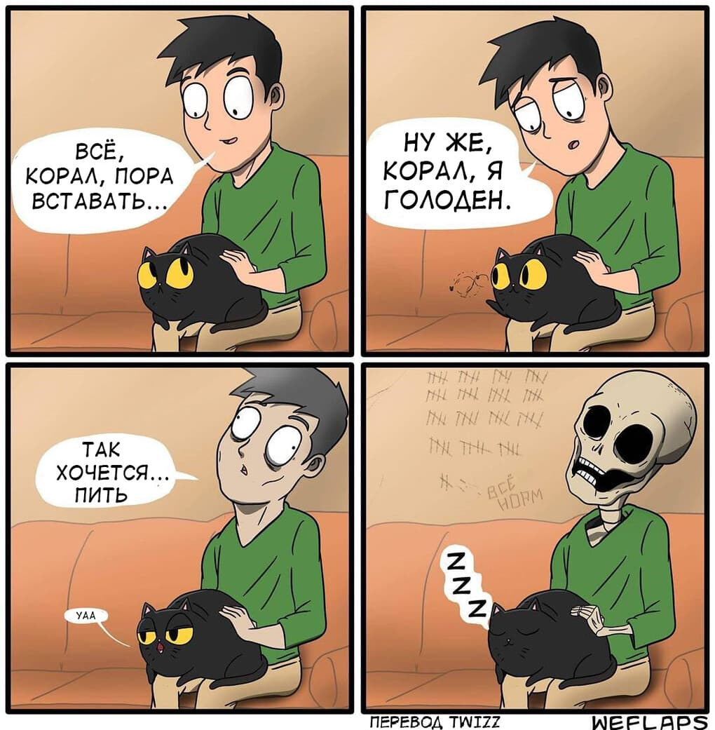 19 comics that demonstrate that life with a cat is a separate profession - cat, Comics, Longpost