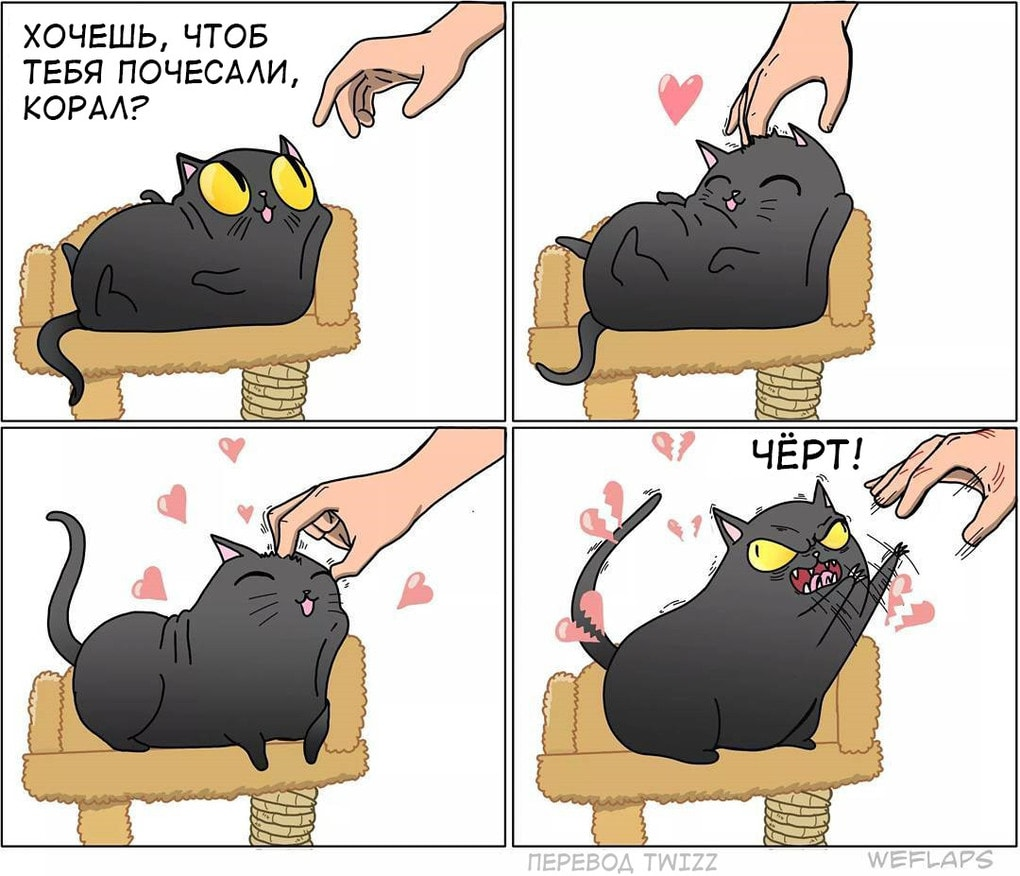 19 comics that demonstrate that life with a cat is a separate profession - cat, Comics, Longpost