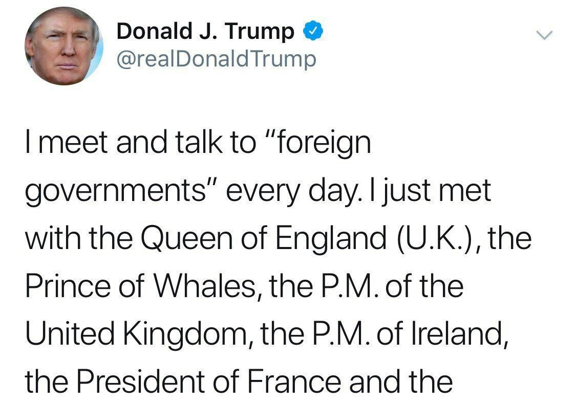 Worth the mistake once - Typo, Lost in translation, Longpost, Donald Trump, Wales, Whale