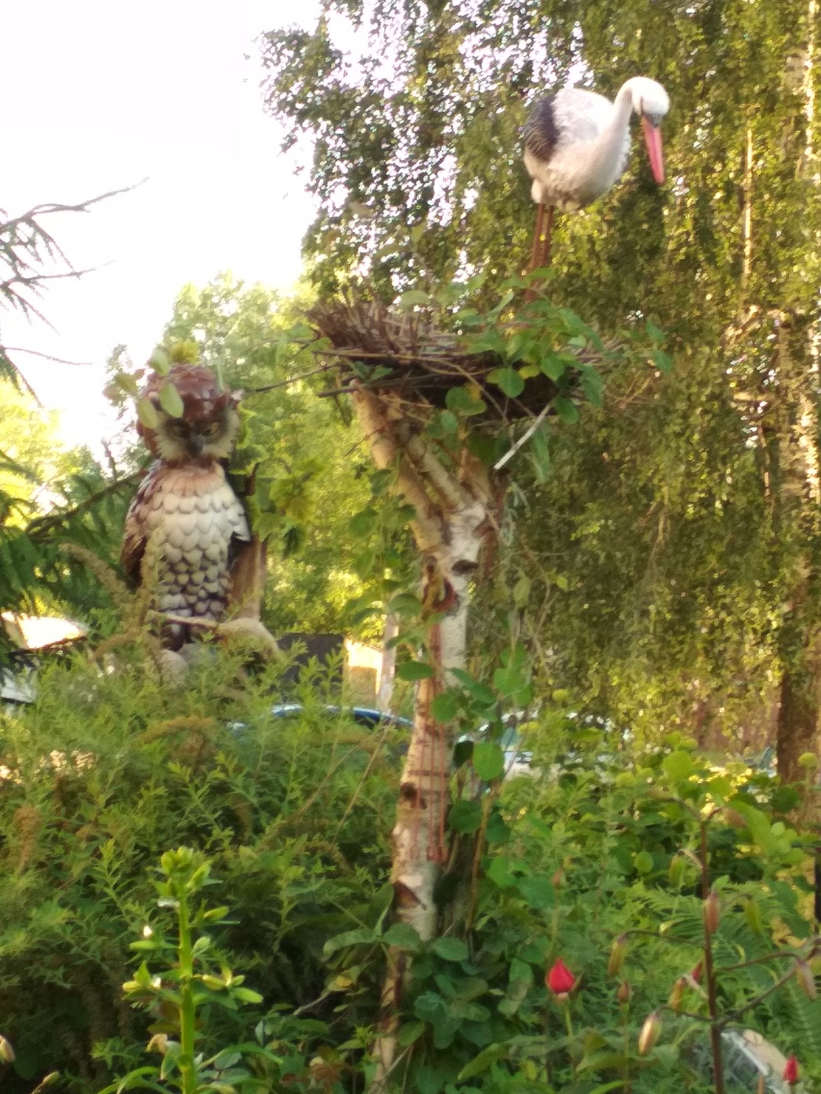 Visiting a fairy tale. - beauty, Front garden, crazy hands, Story, Longpost, Yaroslavl