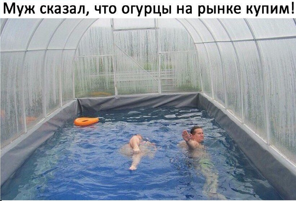 The main thing is health. - Cucumbers, Health, Greenhouse, Swimming pool, Garden, Bathing, Bathing