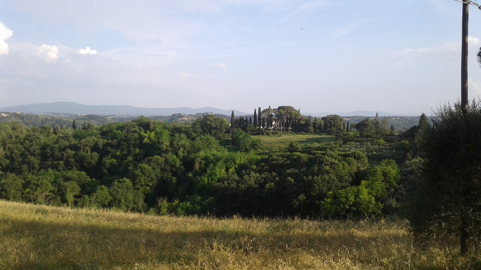 Felicita, or, home tomorrow. - My, Italy, Tuscany, Wine, Weekend, Longpost