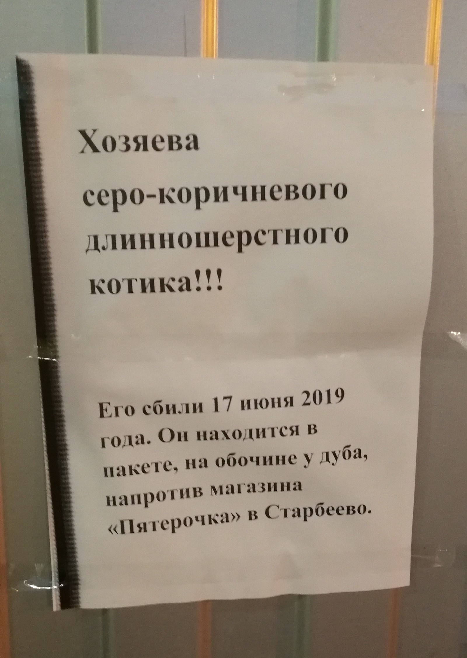 С - Сознательность - Моё, Без котиков, Смерть, Сознательность