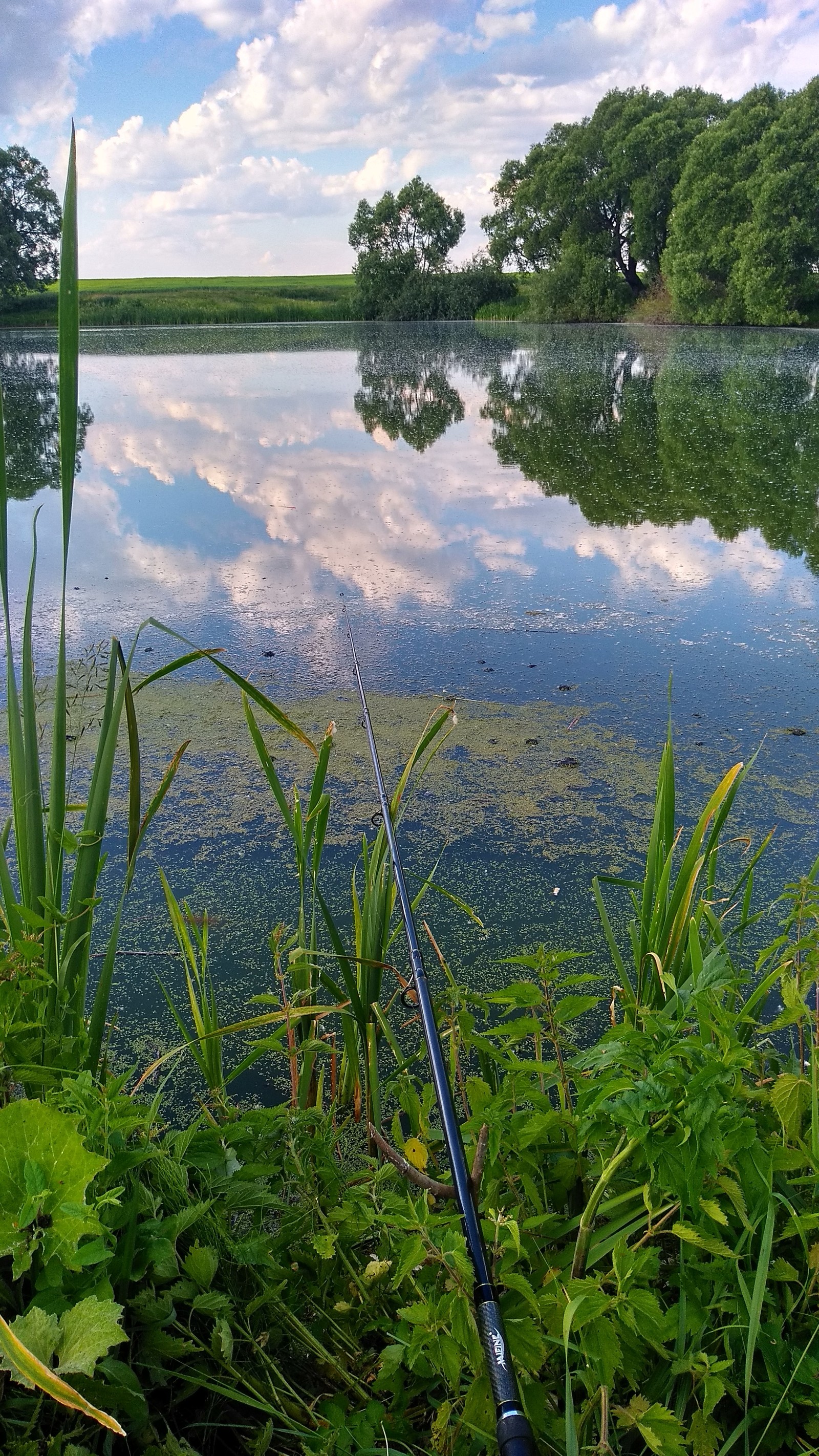 Chuvashia. - My, Photo on sneaker, Summer, Chuvashia, Lake, Longpost