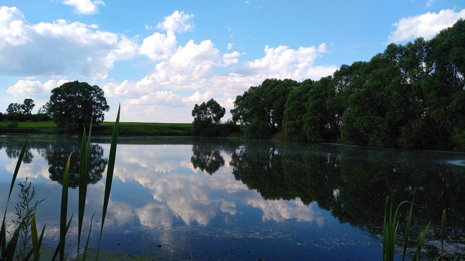 Chuvashia. - My, Photo on sneaker, Summer, Chuvashia, Lake, Longpost