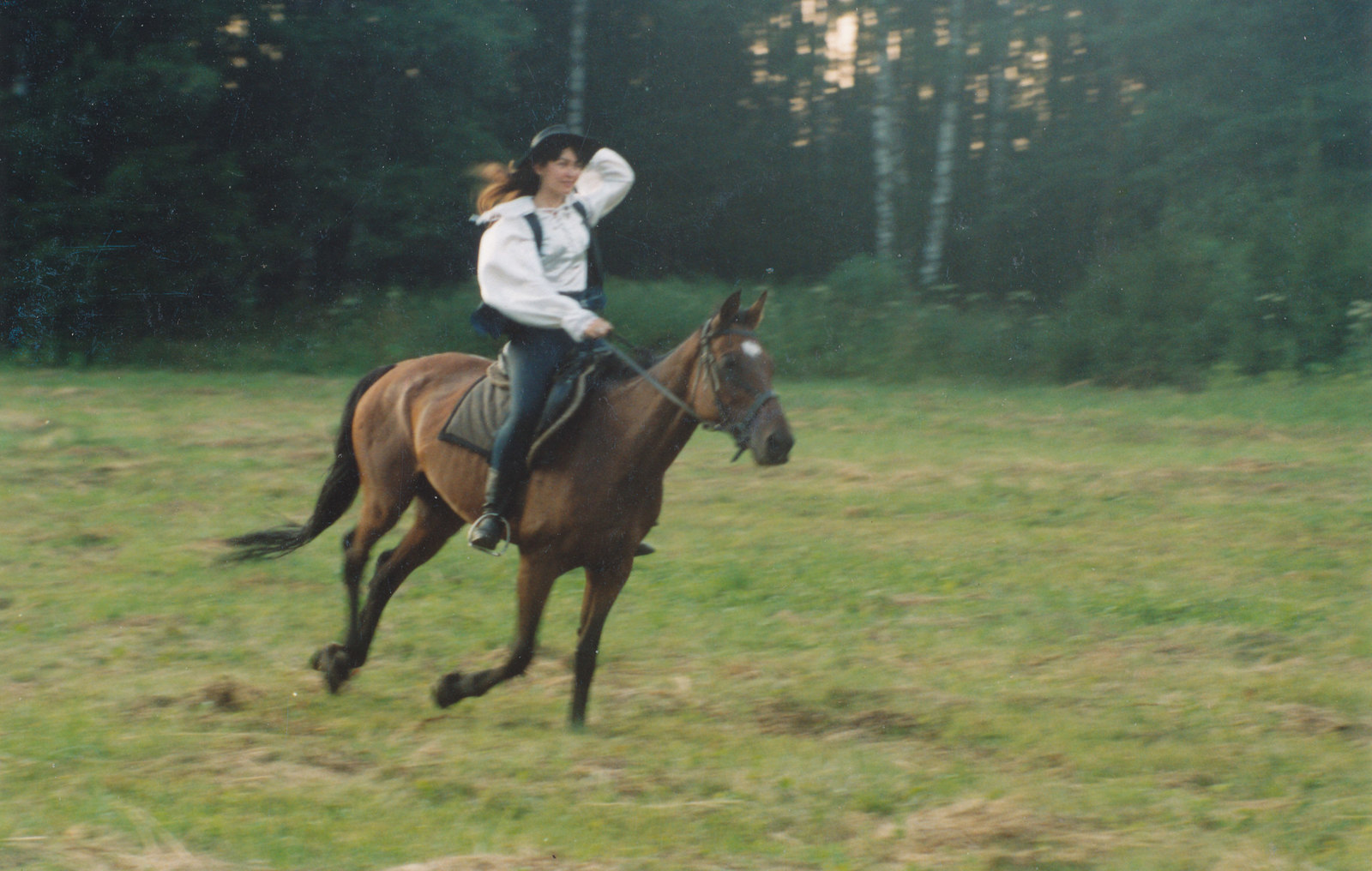 Horse antistress - My, Stable, Romance, Horses, Forest, Antistress, Love, Friends, Sport, Longpost