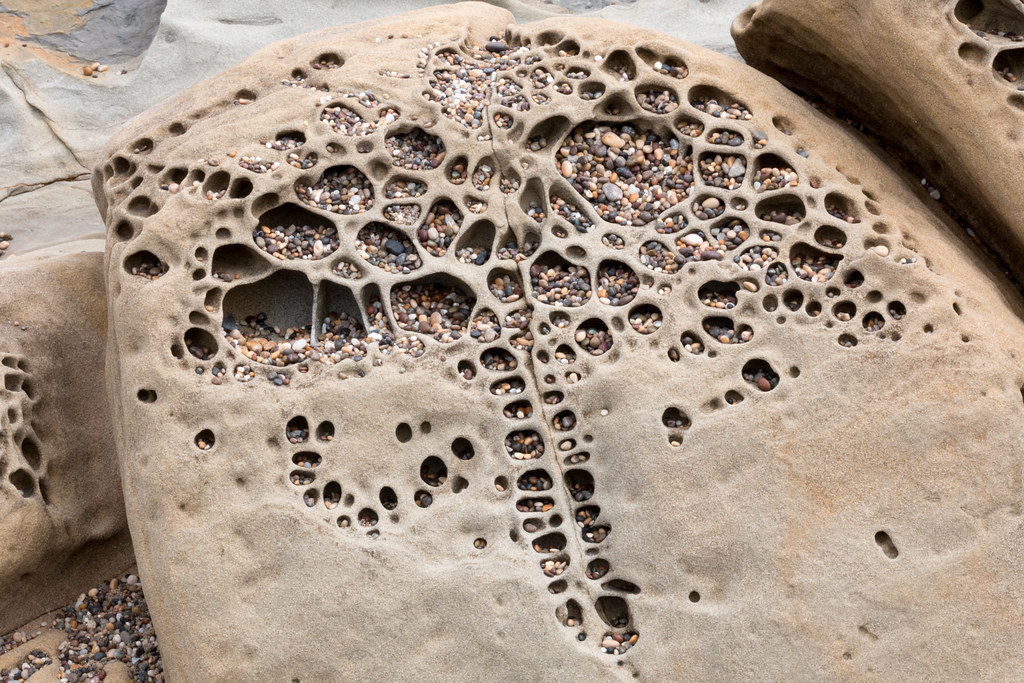 Tafoni - A rock, Amazing, Geology, Nature, Longpost, Trypophobia