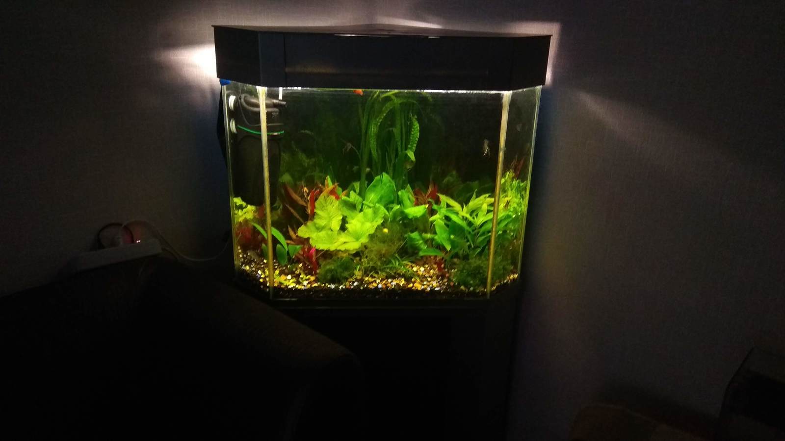 Aquarium 200 liters. On the ground - My, On the ground, Aquarium, Longpost