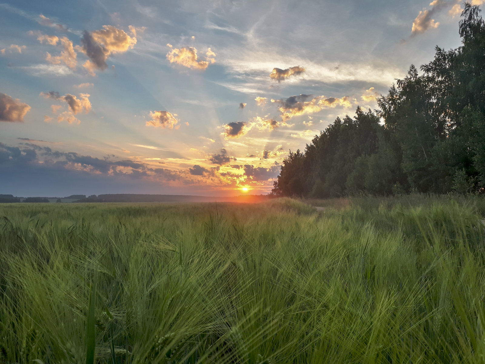 Dawn somewhere in the outback) - My, dawn, Nature, Russia, Backwoods, Provinces