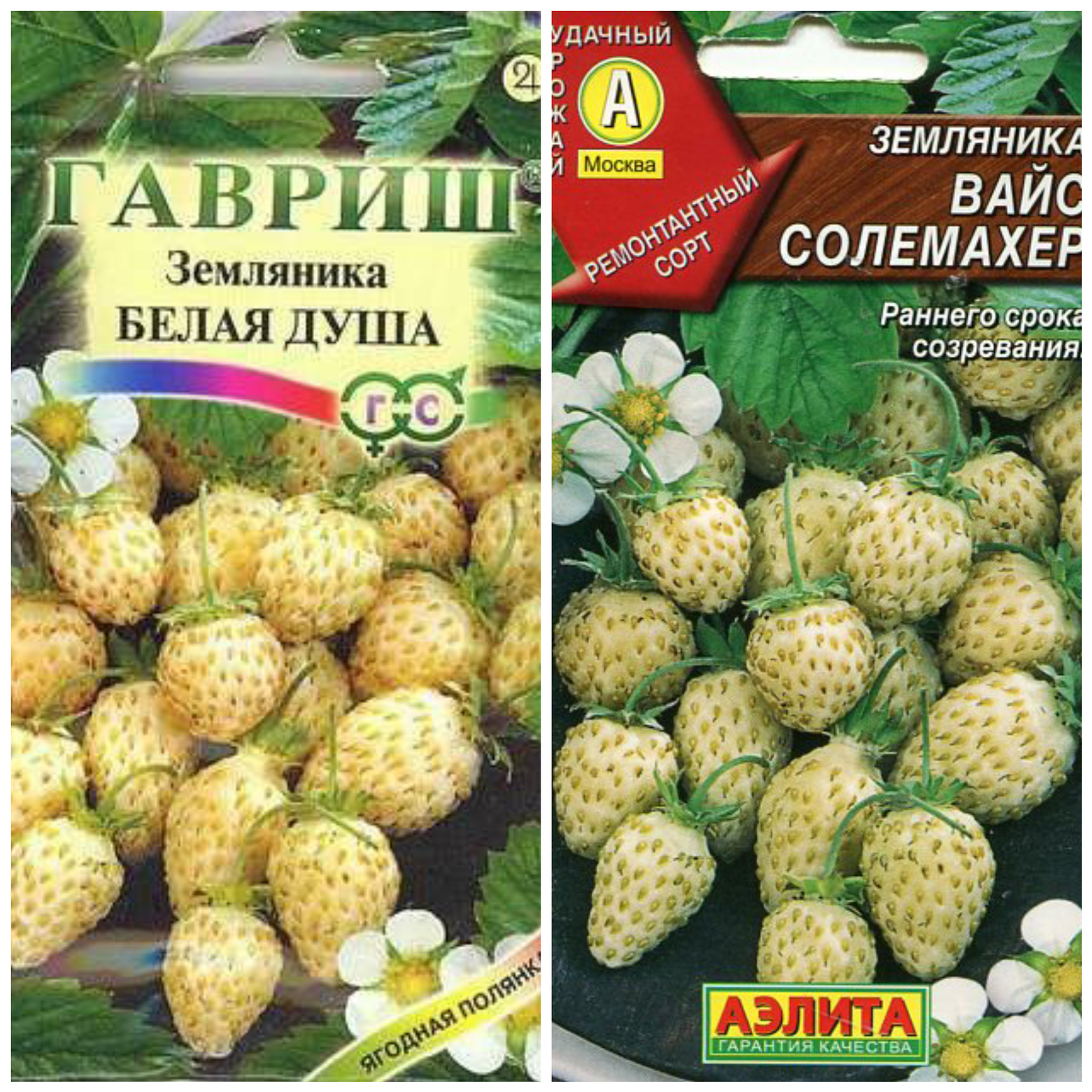 Fantasies of agricultural firms. - White strawberries, Agrofirma, Seeds, Longpost