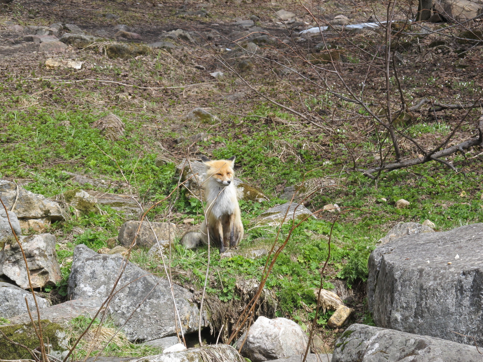 Ural is completely different - My, Ural, Southern Urals, Taganay National Park, Longpost, The photo, Travel across Russia, Chelyabinsk, Tourism