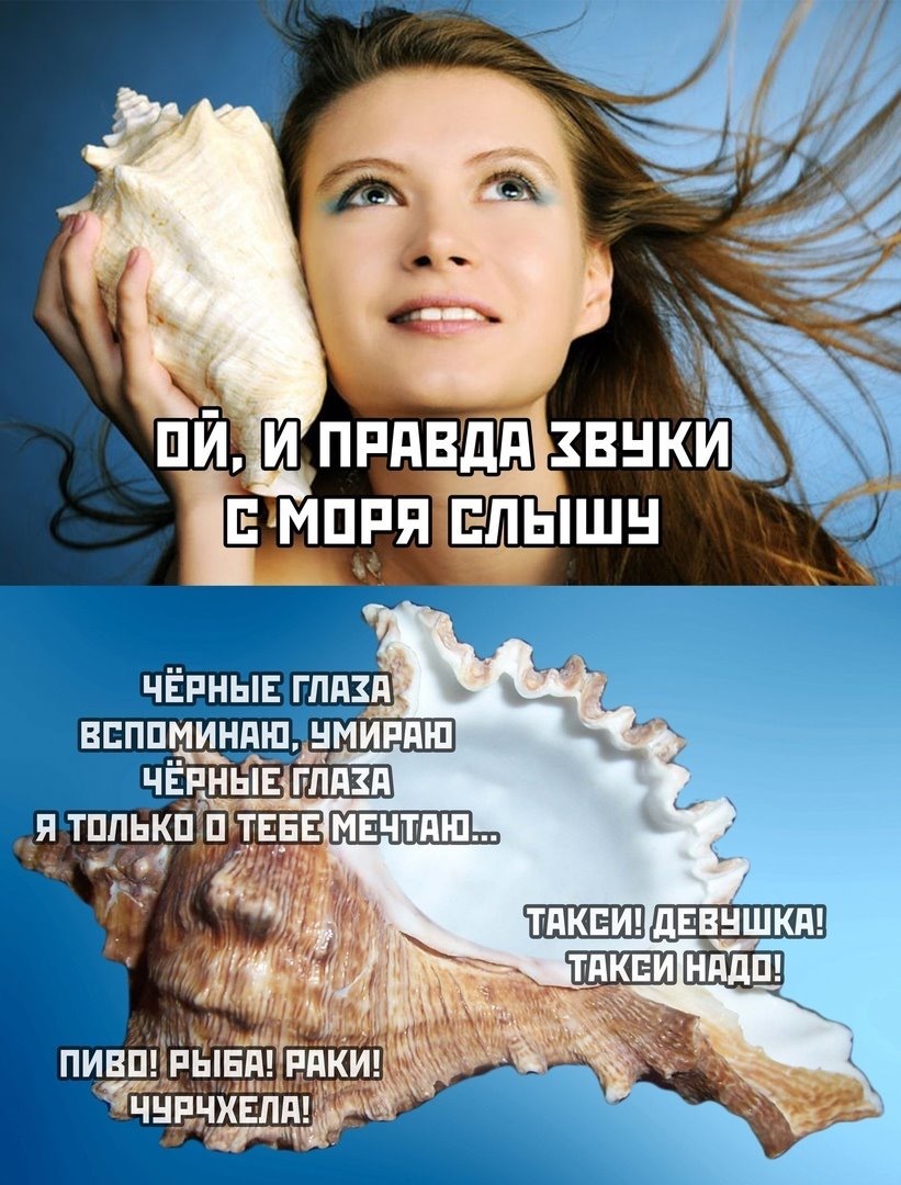 Звуки моря... - Море, Ракушки, Звук