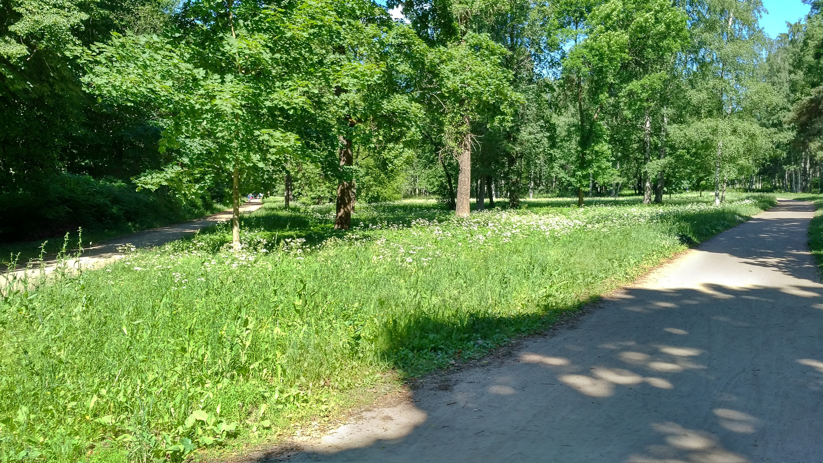 Long walk: Pavlovsk-Pavlovsky railway station - St. Petersburg-Vitebsky railway station - My, , St. Petersburg long-walkers, Hiking, Pavlovsk, Longpost