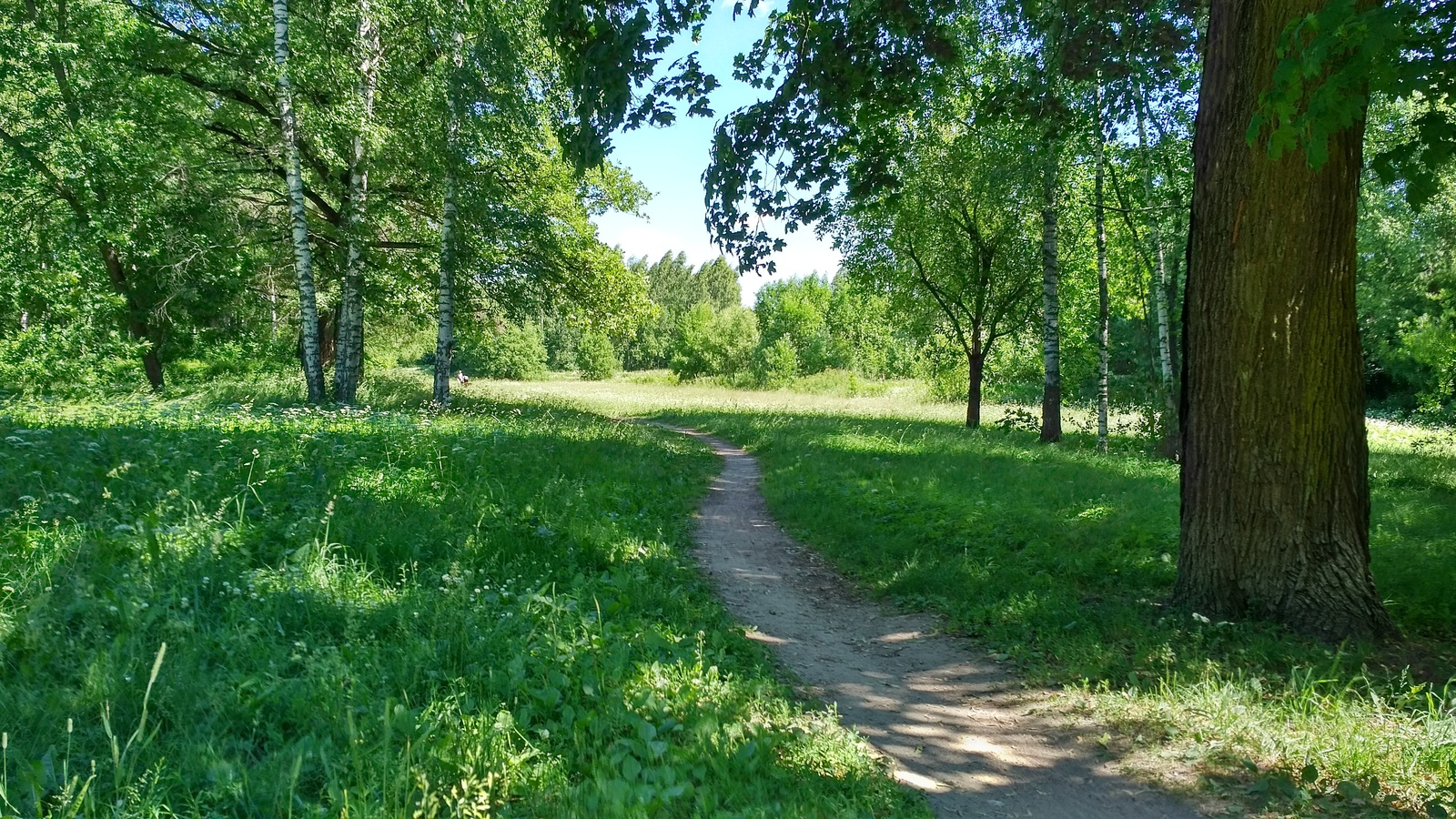 Long walk: Pavlovsk-Pavlovsky railway station - St. Petersburg-Vitebsky railway station - My, , St. Petersburg long-walkers, Hiking, Pavlovsk, Longpost