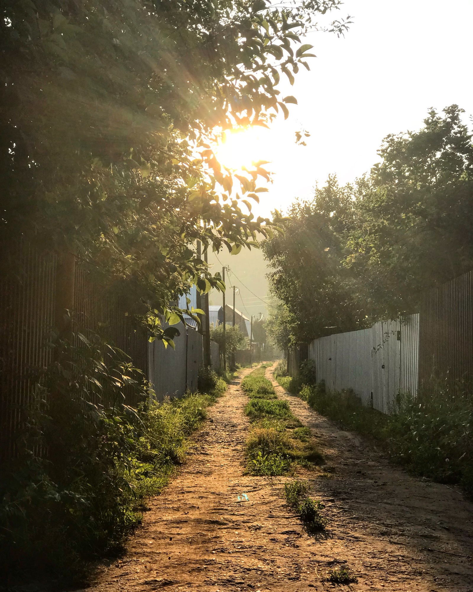 Road to childhood - My, Nature, Tatarstan, Beginning photographer, Nizhnekamsk