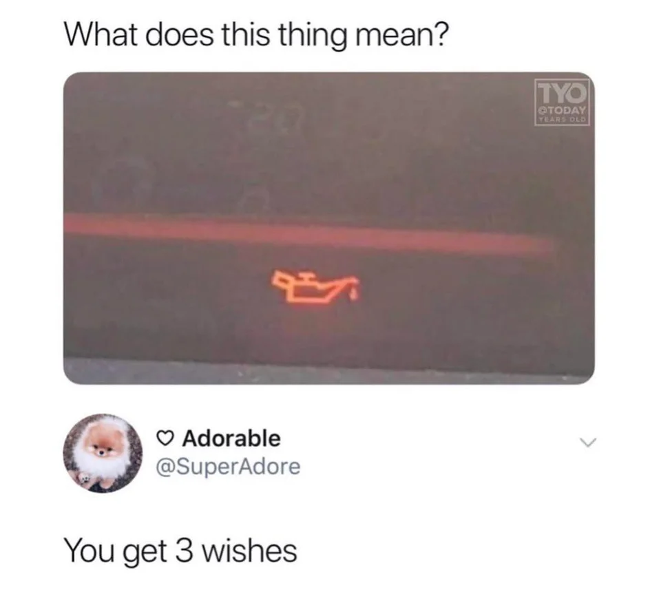 Many have such a genie, guess;) - Reddit, Humor, Indicators