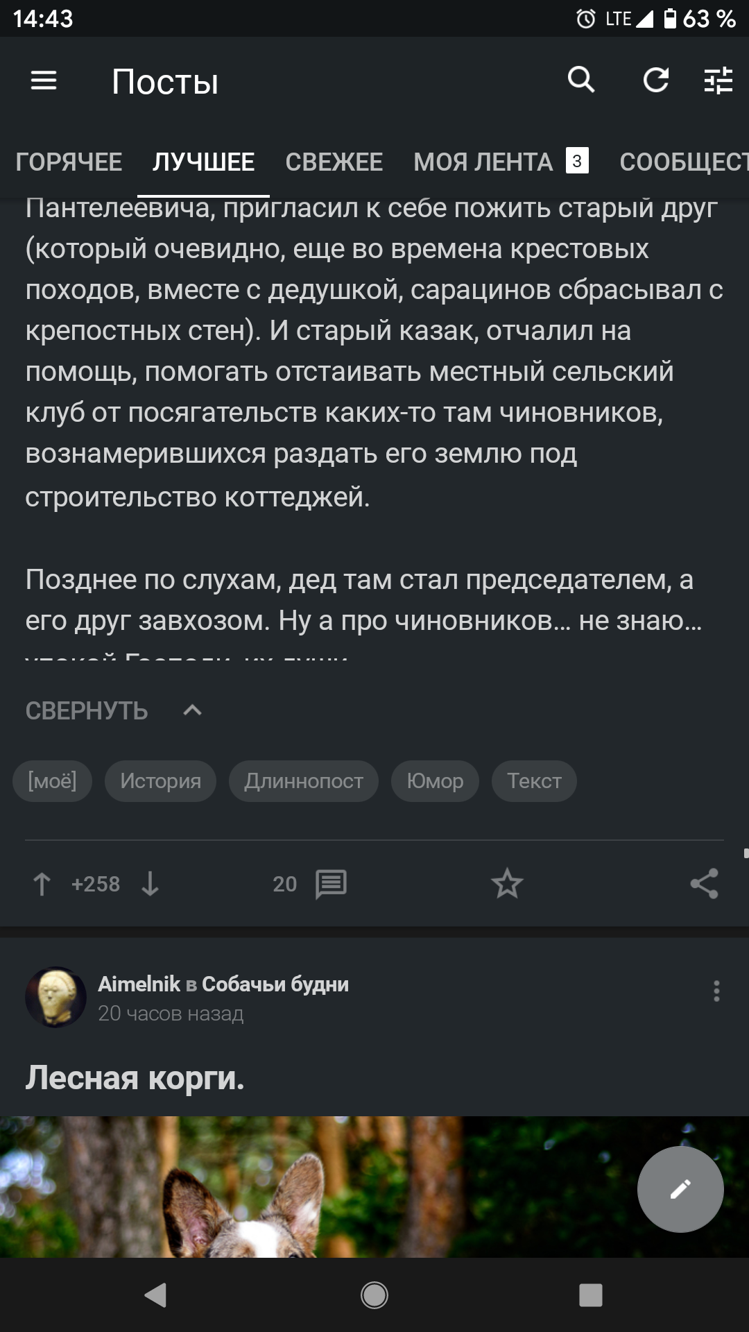 Не отображается последняя строка поста | Пикабу