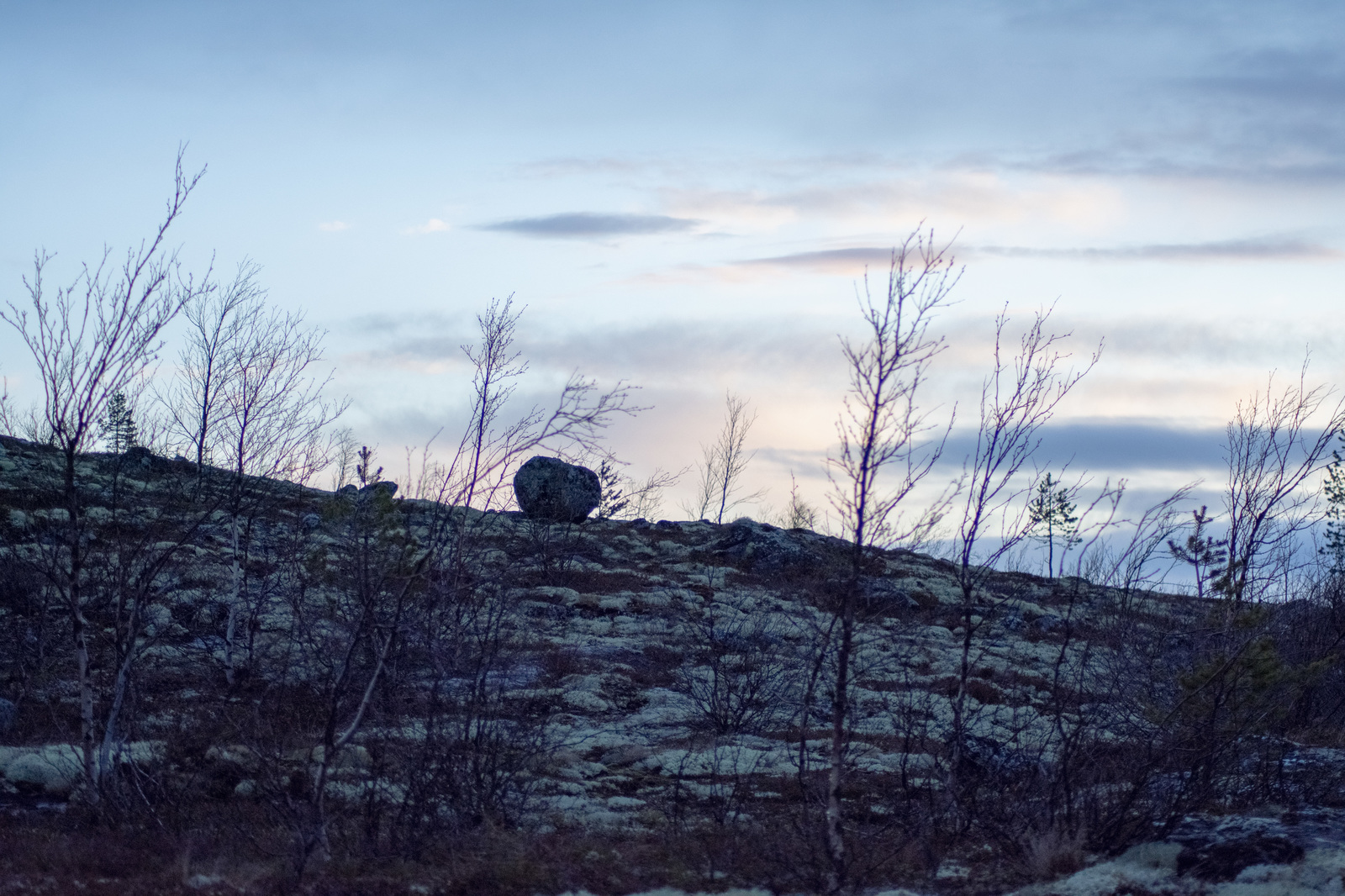 Mount Kyume Tundra - My, Kovdor, Murmansk region, Seid, The mountains, Hike, Longpost