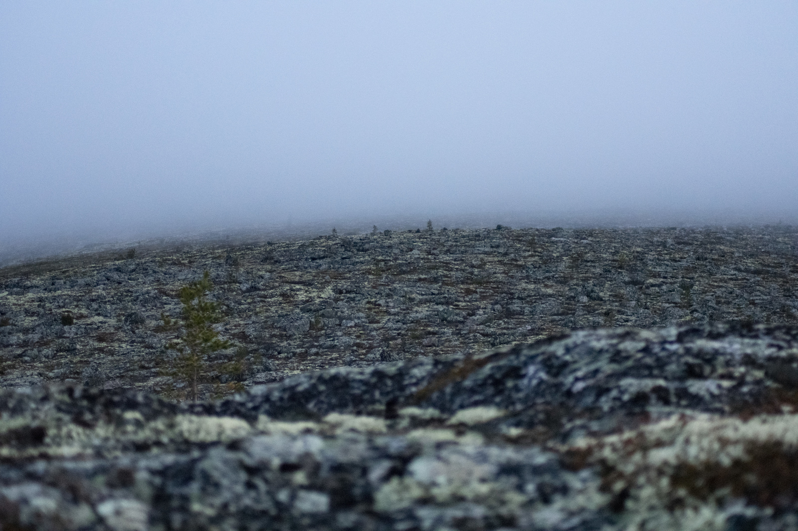 Mount Kyume Tundra - My, Kovdor, Murmansk region, Seid, The mountains, Hike, Longpost