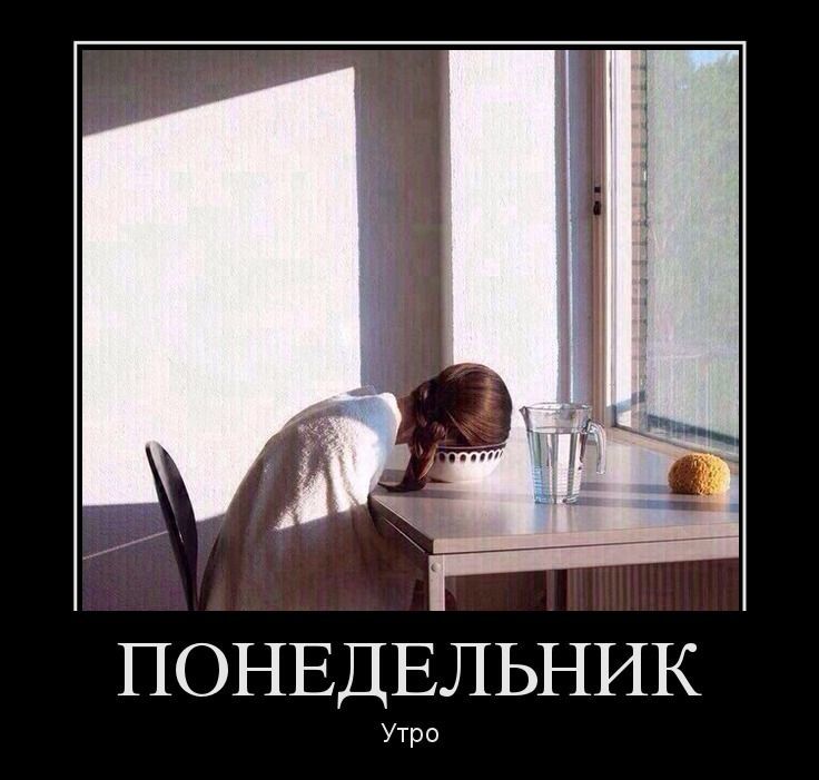 Working days of the week! - My, Work, Работа мечты, Workers, Friday, Weekdays, Work days, Office weekdays, Longpost